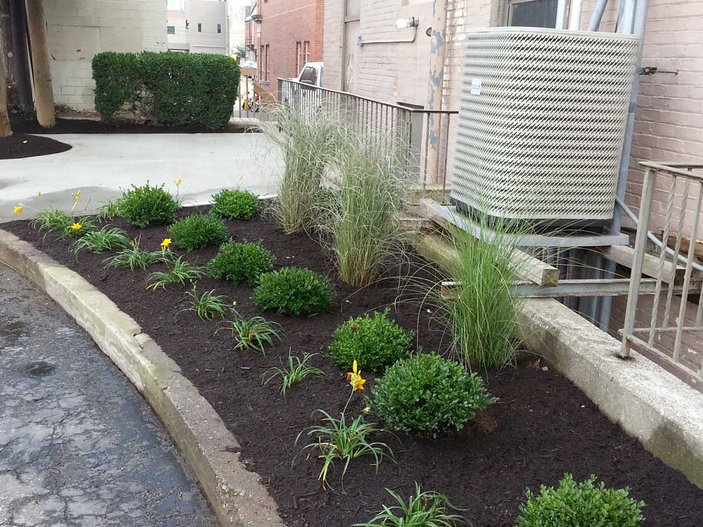 Commercial Landscaping After